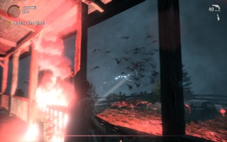 Alan Wake - Gameplay - Fighting Taken birds with flares and a flashlight
