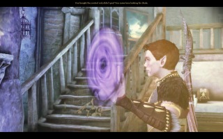 Dragon Age: Origins - Barrier in the Wilhelm&#39;s Cellar at Honnleath